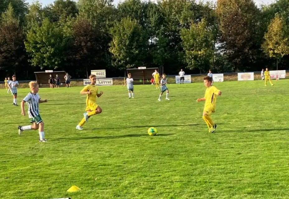 TJ Sokol Dolní Lutyně : TJ Slovan Havířov 1:9 (0:3)